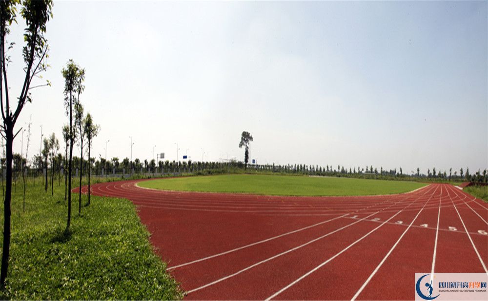 2020川師大附屬第三實(shí)驗(yàn)中學(xué)高考重點(diǎn)大學(xué)升學(xué)率是多少？
