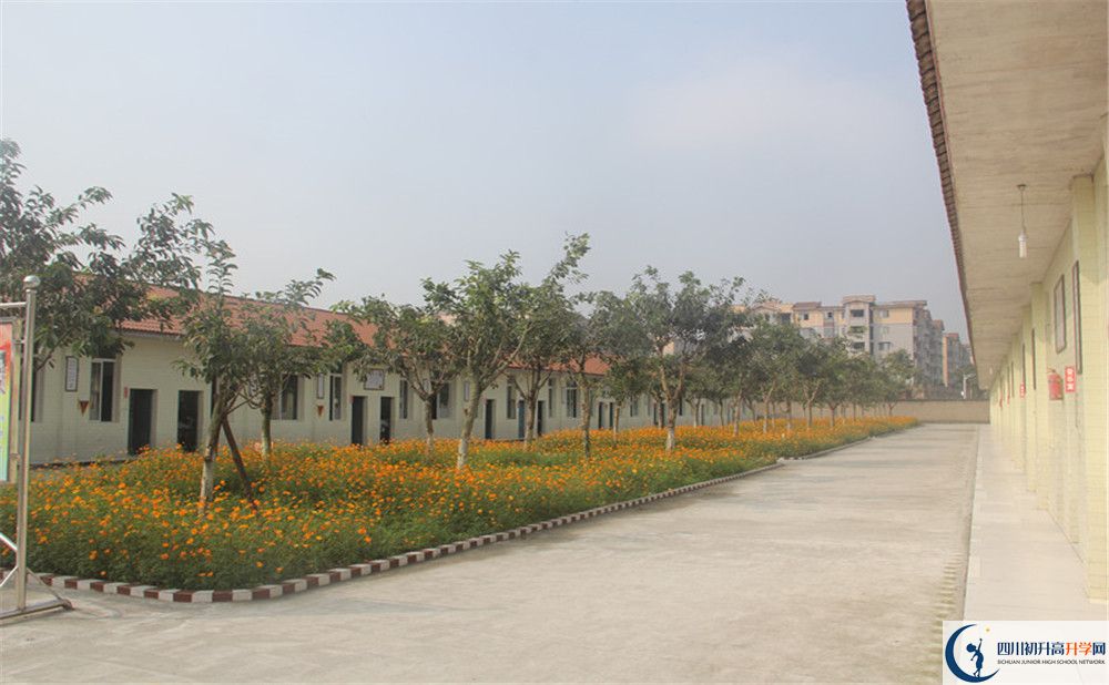 強(qiáng)項(xiàng)實(shí)驗(yàn)中學(xué)在全國(guó)高中排名多少？