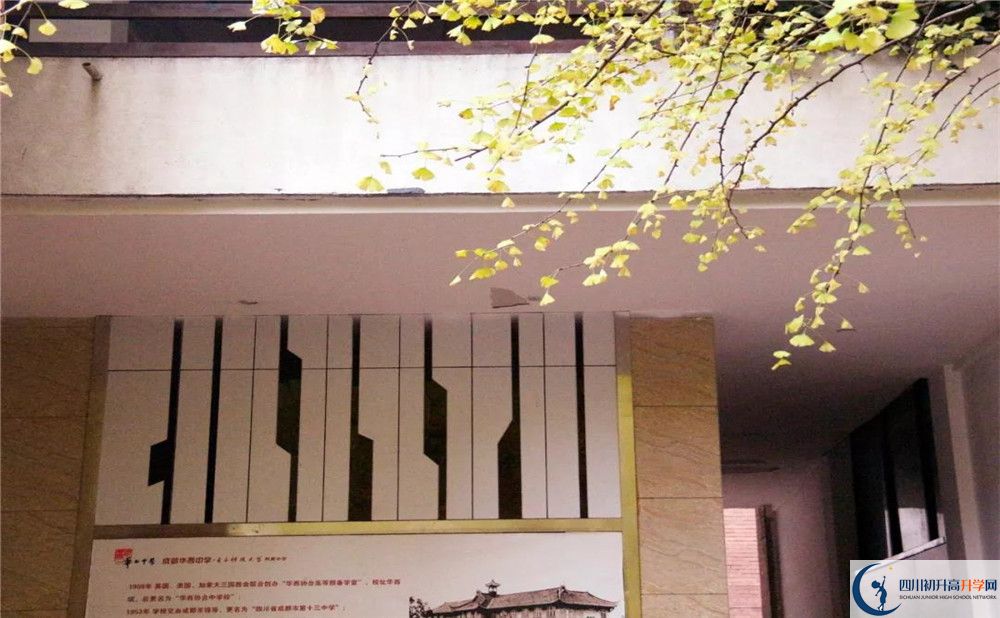 2020四川師范大學(xué)附屬第三實驗中學(xué)初升高分班考試題難嗎？
