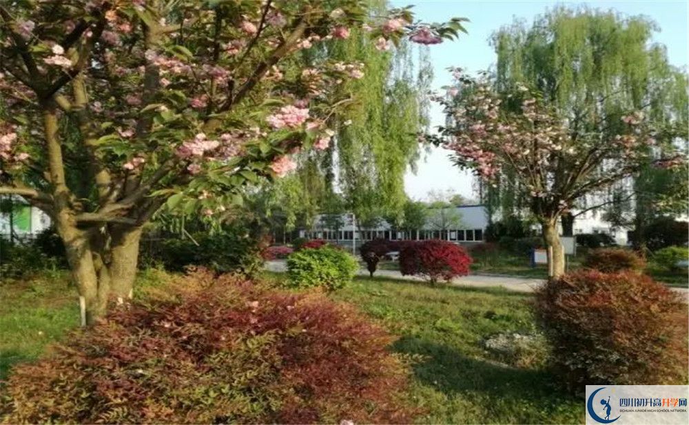 四川師范大學(xué)附屬第三實驗中學(xué)實驗班人數(shù)是多少？