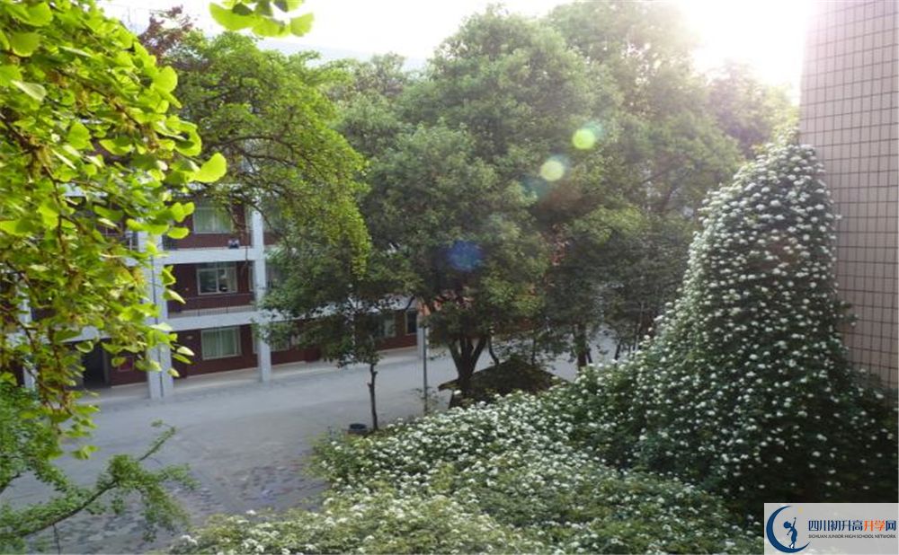 石室聯(lián)合中學(xué)蜀華分校高中分班考試難嗎？
