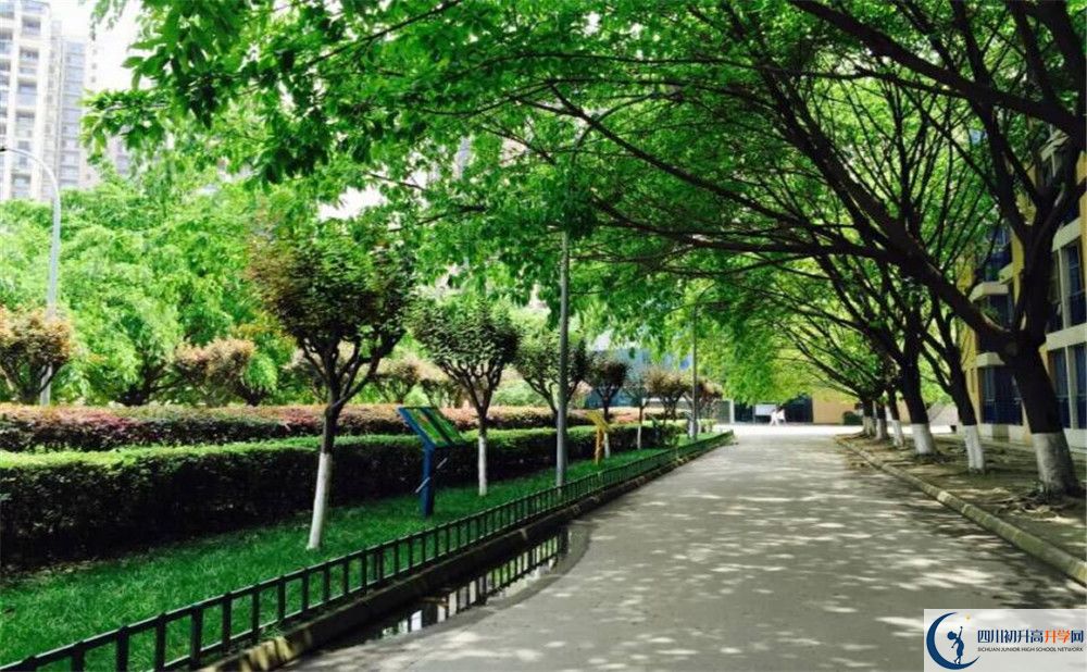 成都七中實(shí)驗(yàn)學(xué)校高2020屆高三階段檢測試題語文難嗎？