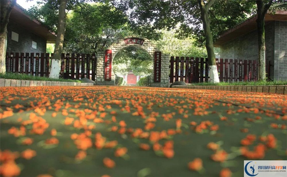 成都七中高新校區(qū)平行班中考重點(diǎn)率是多少？