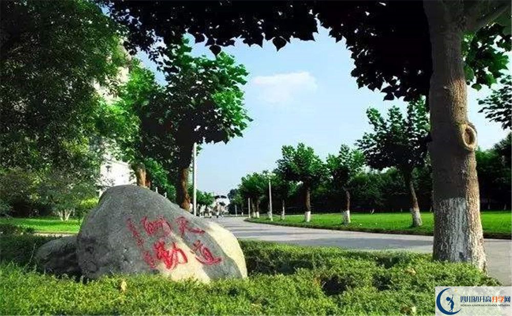 成都樹德中學(xué)補(bǔ)課嗎？