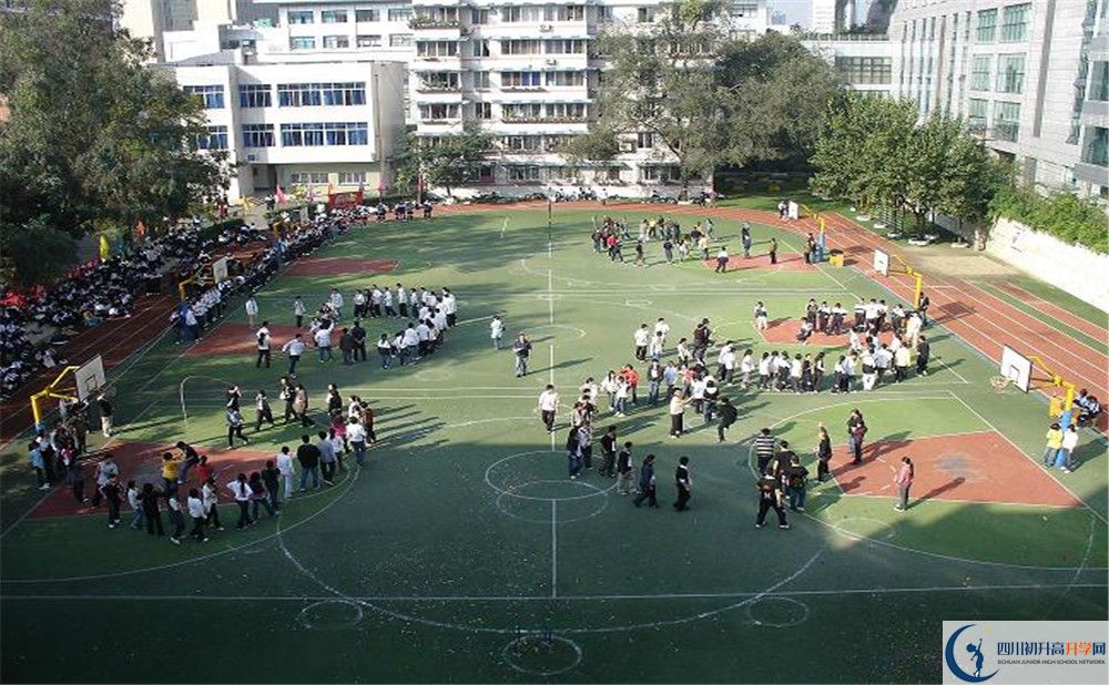 樹德博瑞實驗學校在校學生總?cè)藬?shù)是多少？
