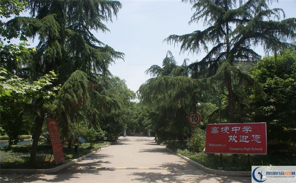 高埂中學(xué)在校學(xué)生總?cè)藬?shù)是多少？