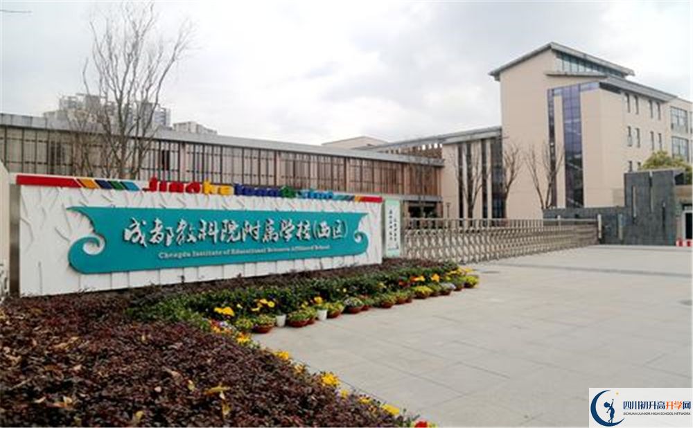 成都教科院附屬學(xué)校2020年高考人數(shù)是多少？