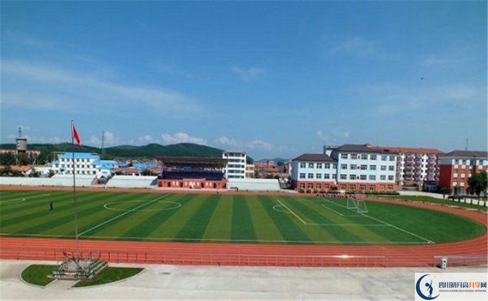 成都市華陽中學(xué)2020年高考人數(shù)是多少？