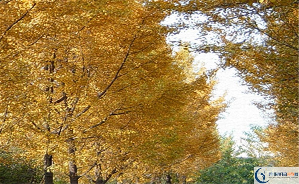 西南交通大學(xué)附屬中學(xué)2019年中考錄取分數(shù)線