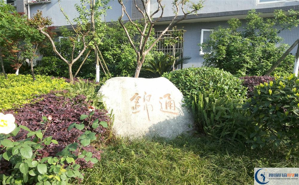 通錦中學(xué)2020年開(kāi)學(xué)時(shí)間安排是怎樣的？