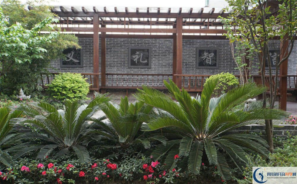 2020成都八中考自主招生條件是什么，有何變化？