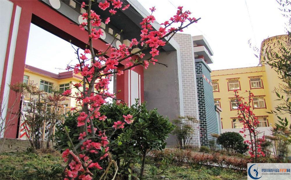 金川中學(xué)今年的錄取條件是否有變化？