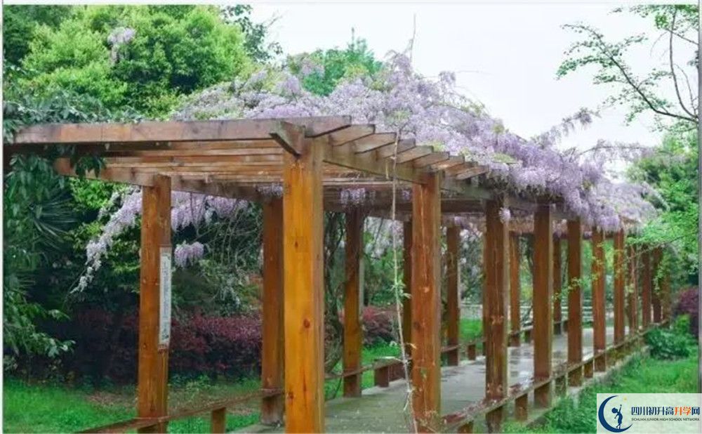 廣安花橋中學高三診斷考試時間怎么安排？