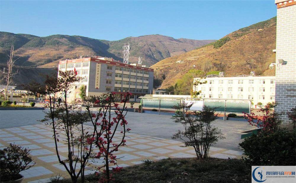 金川中學今年的學費怎么收取，是否有變化？