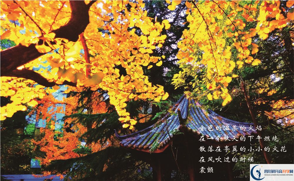 七中高新2020年學(xué)費(fèi)是多少錢？