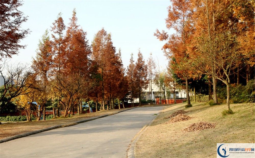 2020年成都實驗外國語學(xué)校西區(qū)住宿條件怎么樣？
