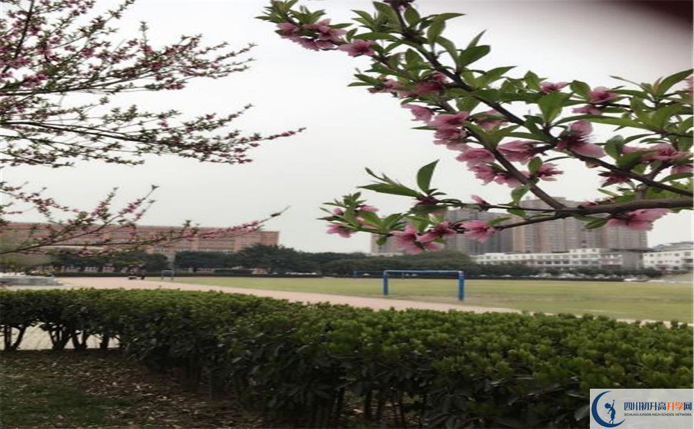 2020年樹德博瑞實驗學校學費是多少？