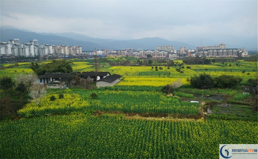 都江堰育才學校2020年錄取分數(shù)線是多少分？
